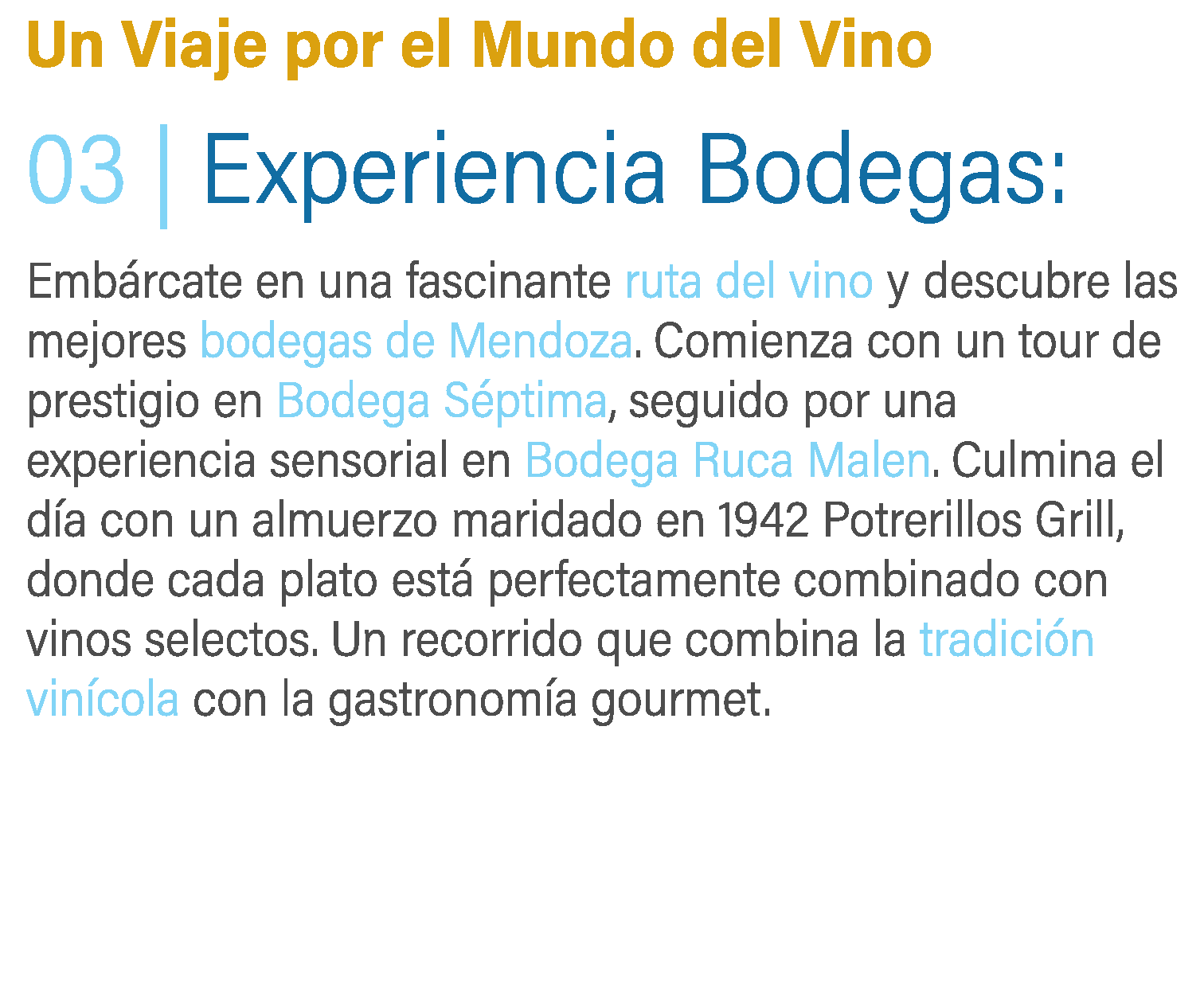 Bodegas